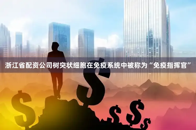 浙江省配资公司树突状细胞在免疫系统中被称为“免疫指挥官”