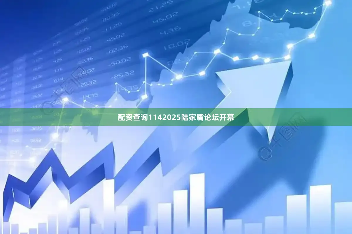 配资查询1142025陆家嘴论坛开幕
