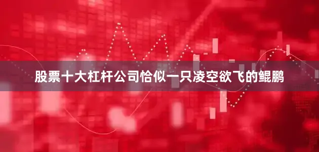 股票十大杠杆公司恰似一只凌空欲飞的鲲鹏