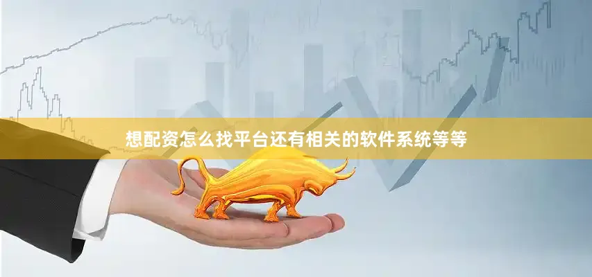 想配资怎么找平台还有相关的软件系统等等